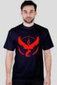 Team Valor