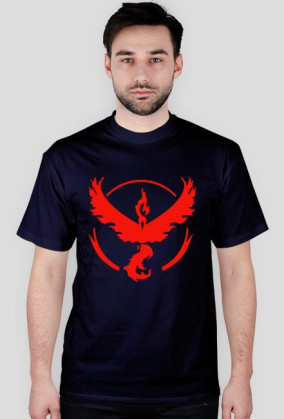 Team Valor