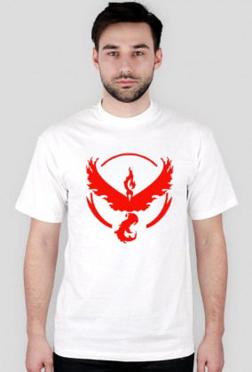 Koszulka team valor