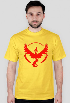 Koszulka team valor