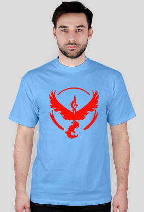 Koszulka team valor