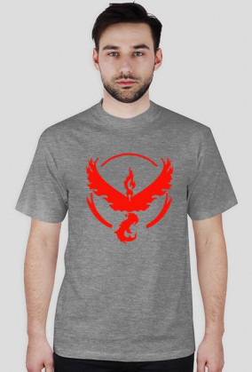 Koszulka team valor