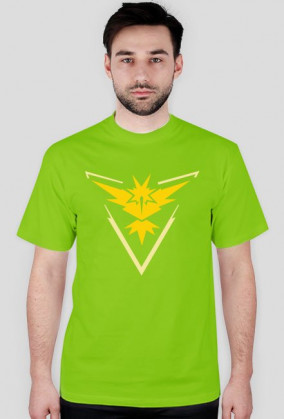 POKEMON GO Team Instinct