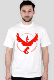 POKEMON GO Team Valor