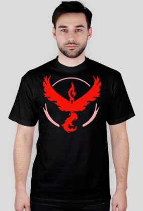 Team Valor