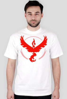 Team Valor