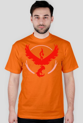 Team Valor