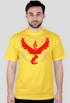 Team Valor