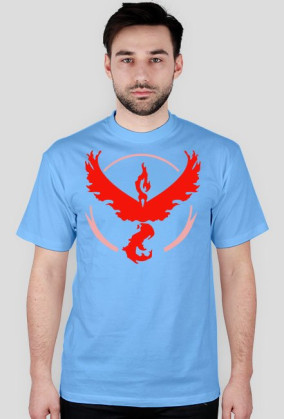 Team Valor