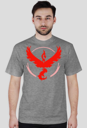 Team Valor