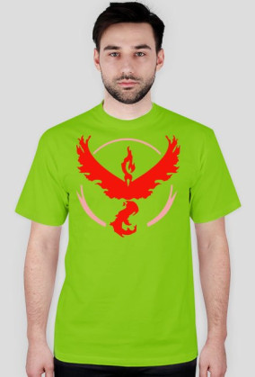 Team Valor