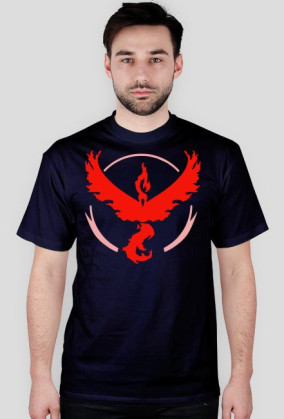 Team Valor