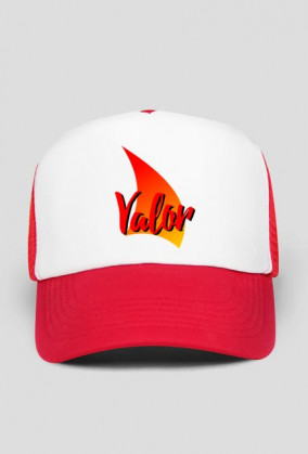 Valor