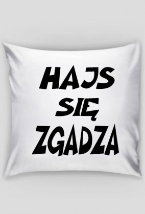 poszewka hajs się zgadza