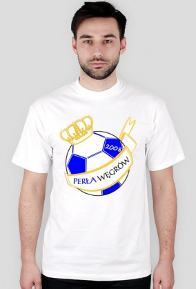 Koszulka zwykła - herb duży (kolor)