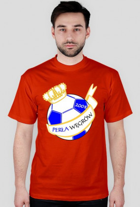 Koszulka zwykła - herb duży (kolor)