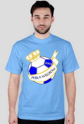 Koszulka zwykła - herb duży (kolor)