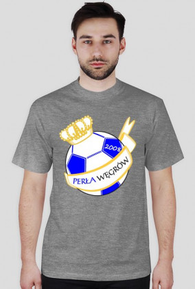 Koszulka zwykła - herb duży (kolor)