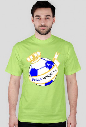 Koszulka zwykła - herb duży (kolor)