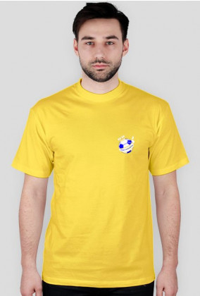 Koszulka zwykła - herb (kolor)