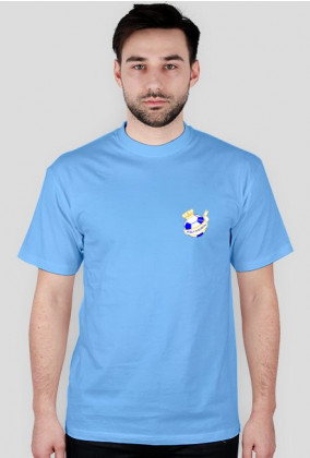 Koszulka zwykła - herb (kolor)