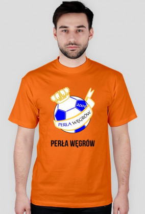 Koszulka zwykła - herb duży (kolor) + napis