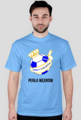 Koszulka zwykła - herb duży (kolor) + napis