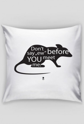 Poduszka - DON'T SAY "EW" BEFORE YOU MEET ME