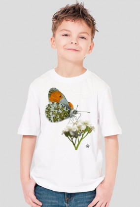 Koszulka dziecięca - ZORZYNEK RZEŻUCHOWIEC