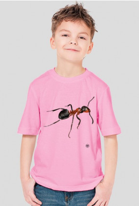 Koszulka dziecięca - MRÓWKA
