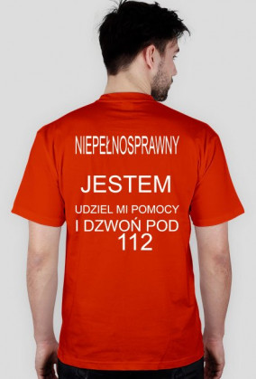 NIEPEŁNOSPRAWNY