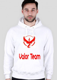 Valor Team Pokemon Go