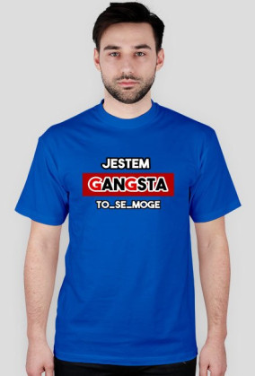 Jestem Gangsta to_se_moge