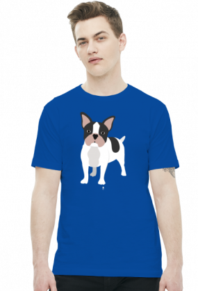 Koszulka męska - BULDOG FRANCUSKI