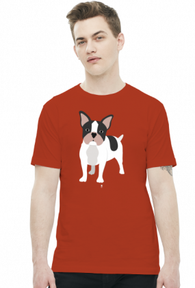 Koszulka męska - BULDOG FRANCUSKI