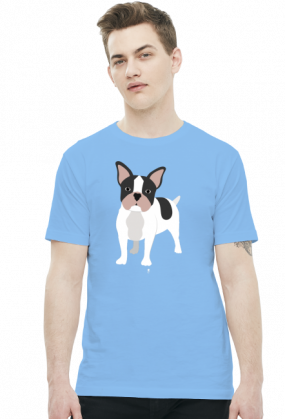 Koszulka męska - BULDOG FRANCUSKI
