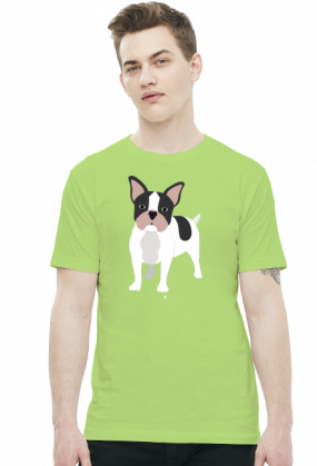 Koszulka męska - BULDOG FRANCUSKI