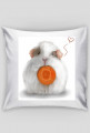Poduszka White Guinea Pig