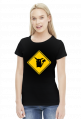Valachi | Pokemon Pikachu