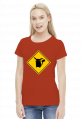 Valachi | Pokemon Pikachu