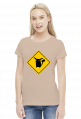 Valachi | Pokemon Pikachu