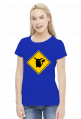 Valachi | Pokemon Pikachu