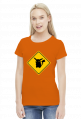 Valachi | Pokemon Pikachu