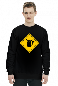 Valachi | Pokemon Pikachu