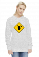 Valachi | Pokemon Pikachu