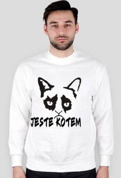 Koteł