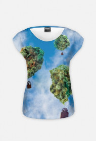 Fly get high