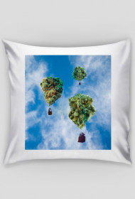 Fly get high, sleep calm