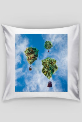 Fly get high, sleep calm