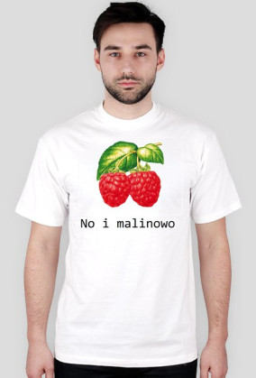 Informatyczne Maliny